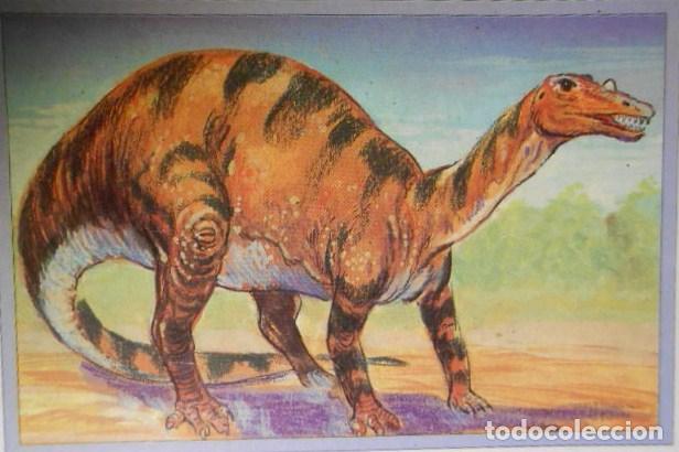 Coleccionismo cromos antiguos: 101 DINOSAURIOS N&ordm; 74. TRADING CARD - Foto 1