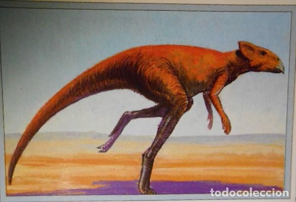 Coleccionismo cromos antiguos: 101 DINOSAURIOS N&ordm; 75. TRADING CARD - Foto 1