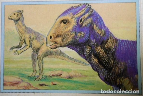 Coleccionismo cromos antiguos: 101 DINOSAURIOS N&ordm; 76. TRADING CARD - Foto 1