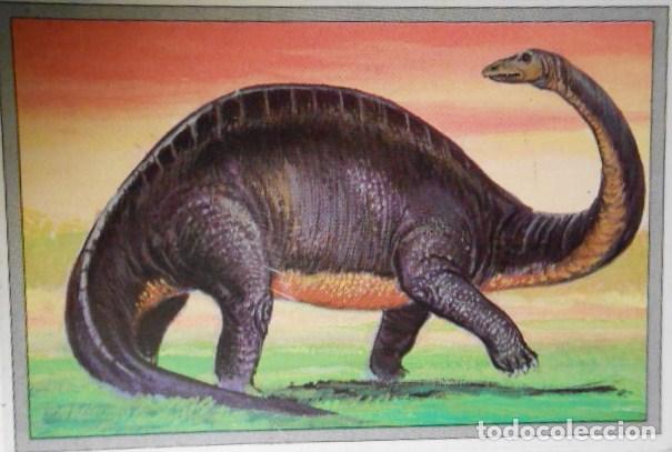 Coleccionismo cromos antiguos: 101 DINOSAURIOS N&ordm; 85. TRADING CARD - Foto 1