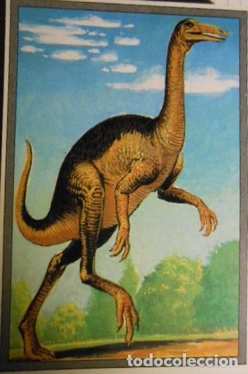 Coleccionismo cromos antiguos: 101 DINOSAURIOS N&ordm; 93. TRADING CARD - Foto 1