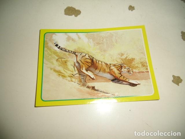 Coleccionismo cromos antiguos: PANINI ANIMALES 2014 064 - Foto 1