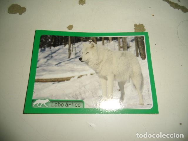 Coleccionismo cromos antiguos: PANINI ANIMALES 2014 109 - Foto 1