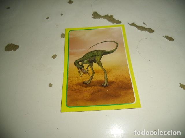 Coleccionismo cromos antiguos: PANINI ANIMALES 2014 056 - Foto 1