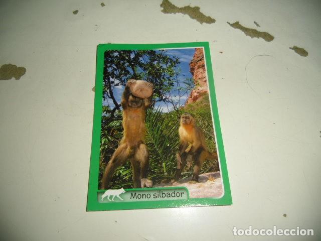 Coleccionismo cromos antiguos: PANINI ANIMALES 2014 141 - Foto 1