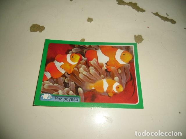 Coleccionismo cromos antiguos: PANINI ANIMALES 2014 168 - Foto 1
