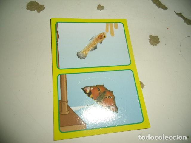 Coleccionismo cromos antiguos: PANINI ANIMALES 2014 288B 288A - Foto 1