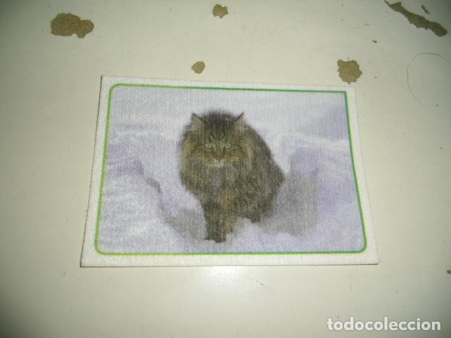 Coleccionismo cromos antiguos: PANINI ANIMALES 2014 314 - Foto 1