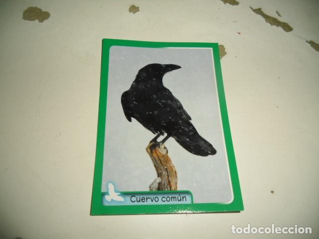 Coleccionismo cromos antiguos: PANINI ANIMALES 2014 157 - Foto 1