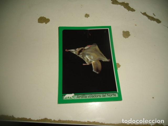 Coleccionismo cromos antiguos: PANINI ANIMALES 2014 173 - Foto 1