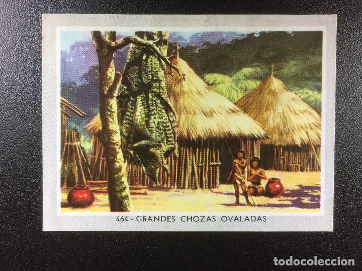 Coleccionismo cromos antiguos: VIDA Y COLOR 2 MIDI (MEDIANO) &Aacute;LBUM 1969. CROMOS 8,5 X 6 CM. (DESPEGADO) CROMO N&ordm; 464