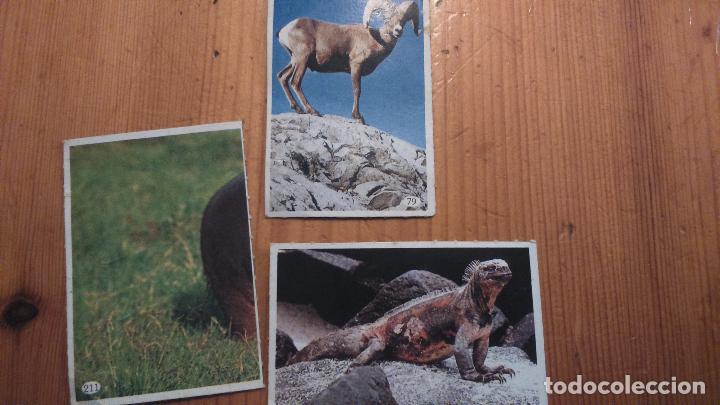 Coleccionismo cromos antiguos: lote cromos tele indiscreta - Foto 1