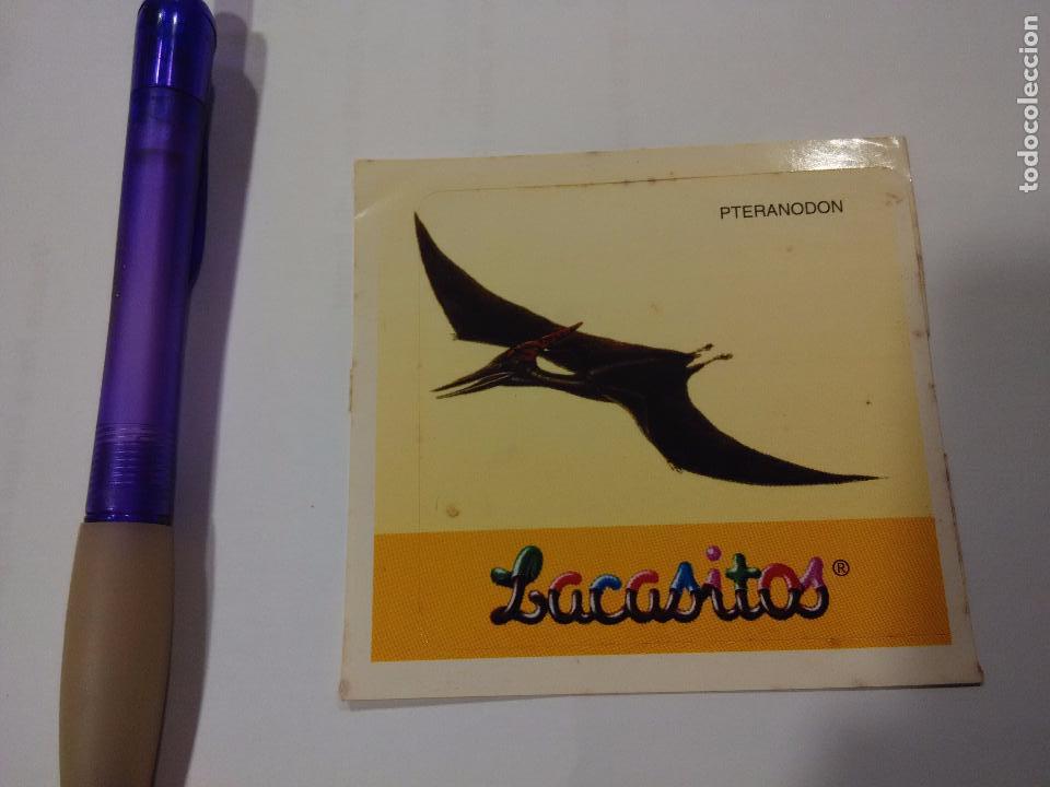 Coleccionismo cromos antiguos: CROMO LACASITOS - DINOSAURIOS PTERANODON - Foto 1