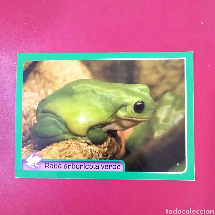 Coleccionismo cromos antiguos: Cromo Coleccion ANIMALES 2014 DE PANINI N&deg;38 - Foto 1