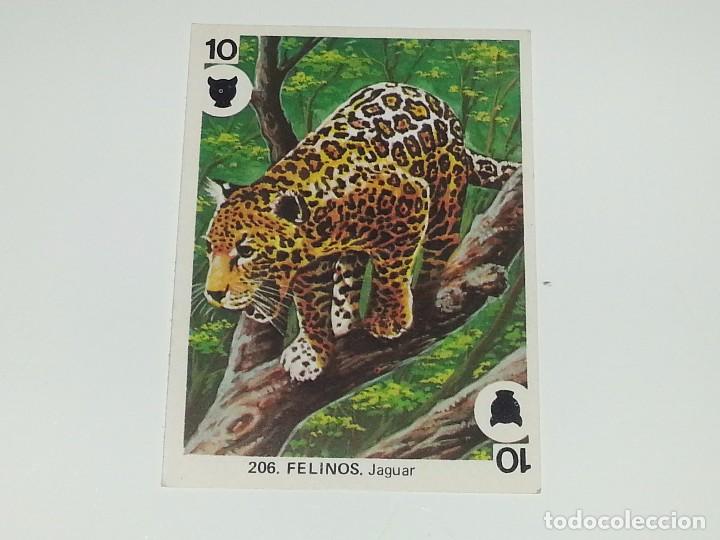 Coleccionismo Cromos antiguos: MAGA : CROMO COLECCION DE CROMOS Y JUEGOS DE FAMILIAS N&ordm; 206 FELINOS JAGUAR SIN PEGAR A&Ntilde;OS 70