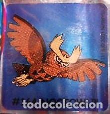 Coleccionismo cromos antiguos: CROMO BOOMER POKEMON A&Ntilde;O 2001 - Foto 1
