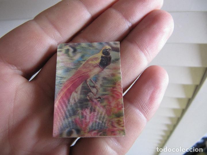 Coleccionismo cromos antiguos: Cromo HOLOGRAMA N&ordm; 38 AVE PARAISO animales tres dimensiones pastelitos Panrico