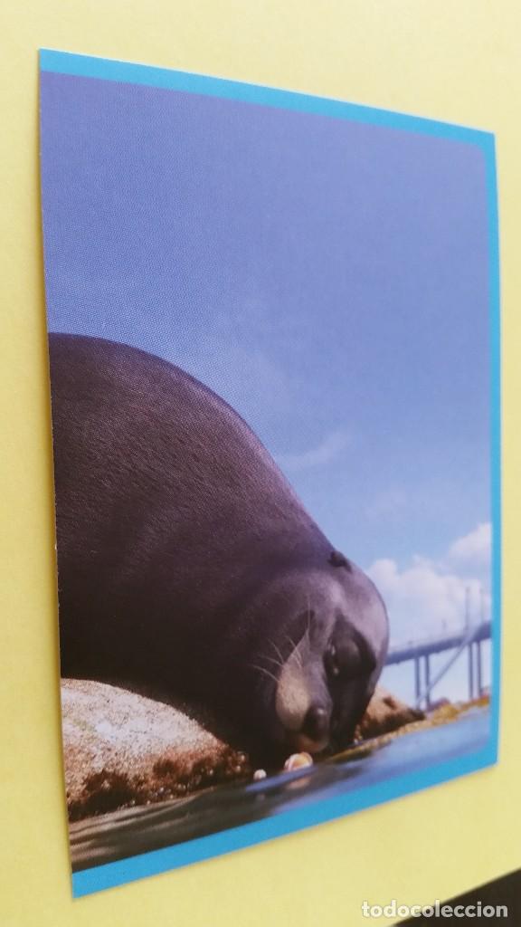Coleccionismo cromos antiguos: CROMO BUSCANDO A DORY - PANINI 2016 N&ordm; 92 - Foto 1