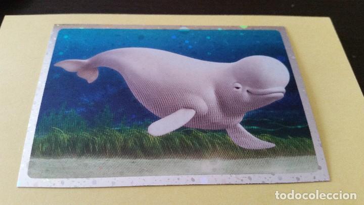 Coleccionismo cromos antiguos: CROMO BUSCANDO A DORY - PANINI 2016 N&ordm; 75 - Foto 1