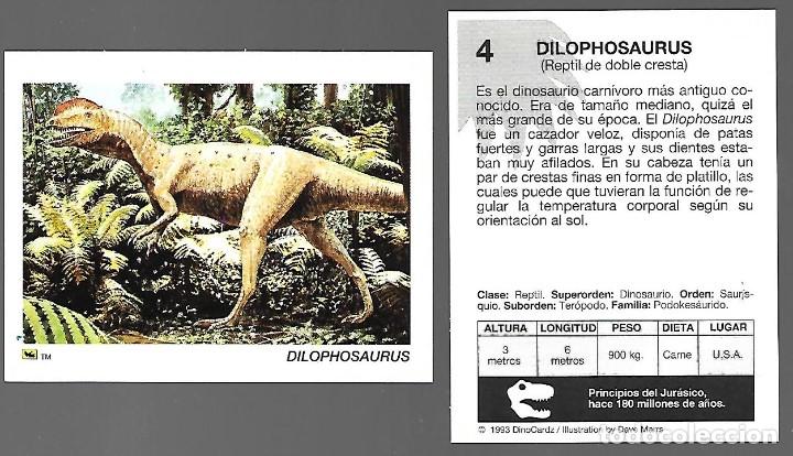 Colecionismo Cromos antigos: CROMO N&ordm; 4 DE LA COLECCION DINOCARDZ 1993.