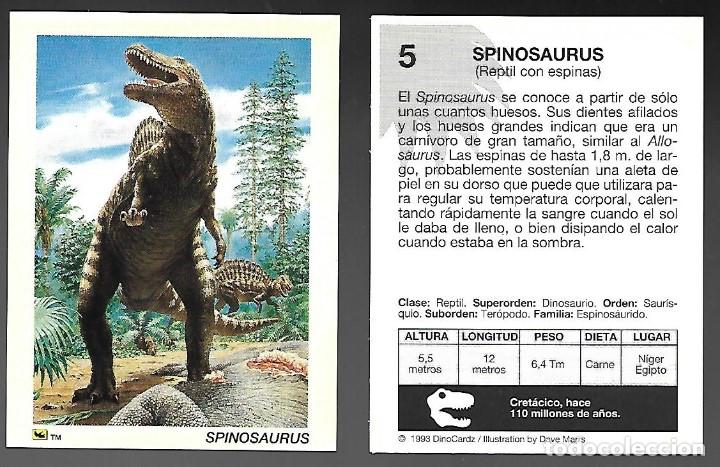 Coleccionismo cromos antiguos: CROMO N&ordm; 5 DE LA COLECCION DINOCARDZ 1993.