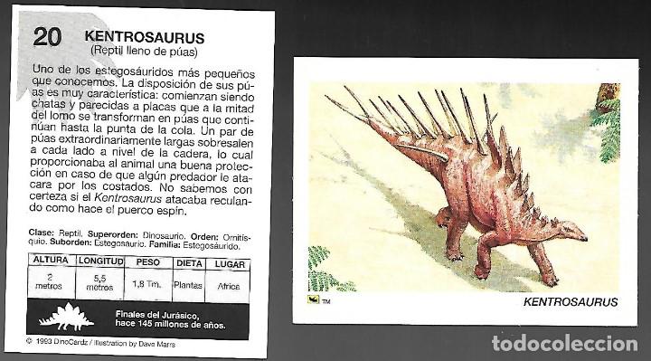 Colecionismo Cromos antigos: CROMO N&ordm; 20 DE LA COLECCION DINOCARDZ 1993.