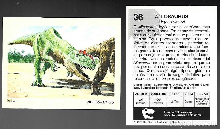Coleccionismo cromos antiguos: CROMO N&ordm; 36 DE LA COLECCION DINOCARDZ 1993.