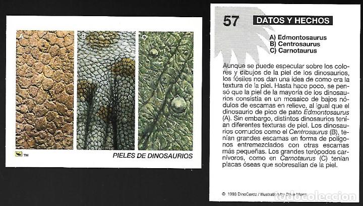 Coleccionismo Cromos antiguos: CROMO N&ordm; 57 DE LA COLECCION DINOCARDZ 1993.