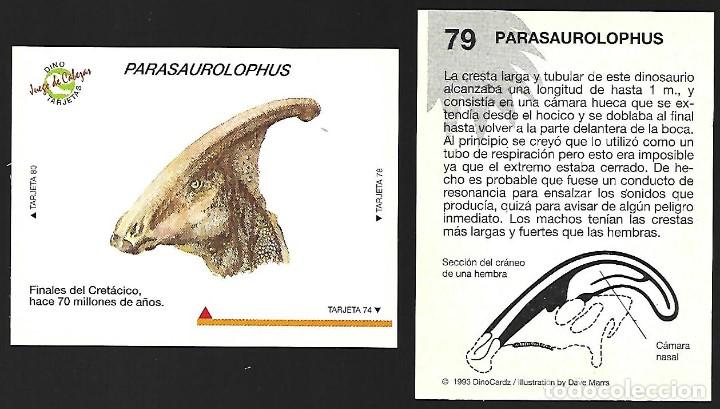 Coleccionismo Cromos antiguos: CROMO N&ordm; 79 DE LA COLECCION DINOCARDZ 1993.
