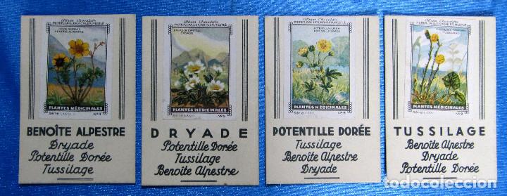 Collectable Antique Stickers: SERIE COMPLETA DE 4 CROMOS/CARTAS JUEGO DE LAS FAMILIAS. PLANTAS MEDICINALES. CHOCOLATES NESTL&Eacute; 1930