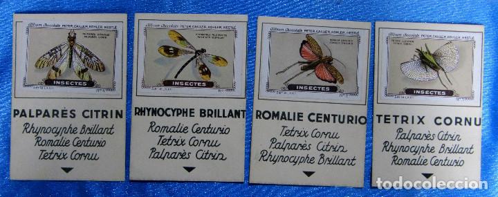 Coleccionismo Cromos antiguos: SERIE COMPLETA DE 4 CROMOS/CARTAS DEL JUEGO DE LAS FAMILIAS. INSECTES. CHOCOLATES NESTL&Eacute;, 1930.