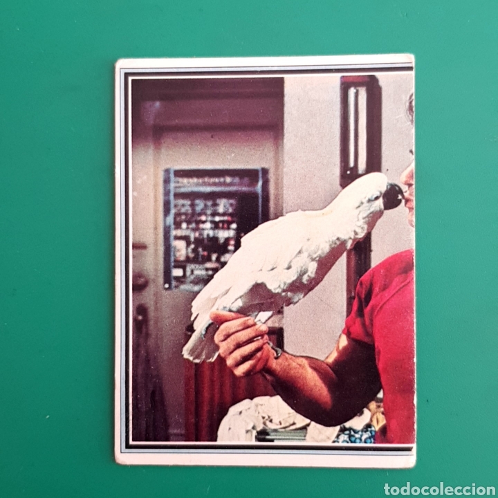 Coleccionismo cromos antiguos: Cromo coleccion TELESTARS N&deg;35 ROBERT BLAKE &rdquo;BARETTA&rdquo; - Foto 1
