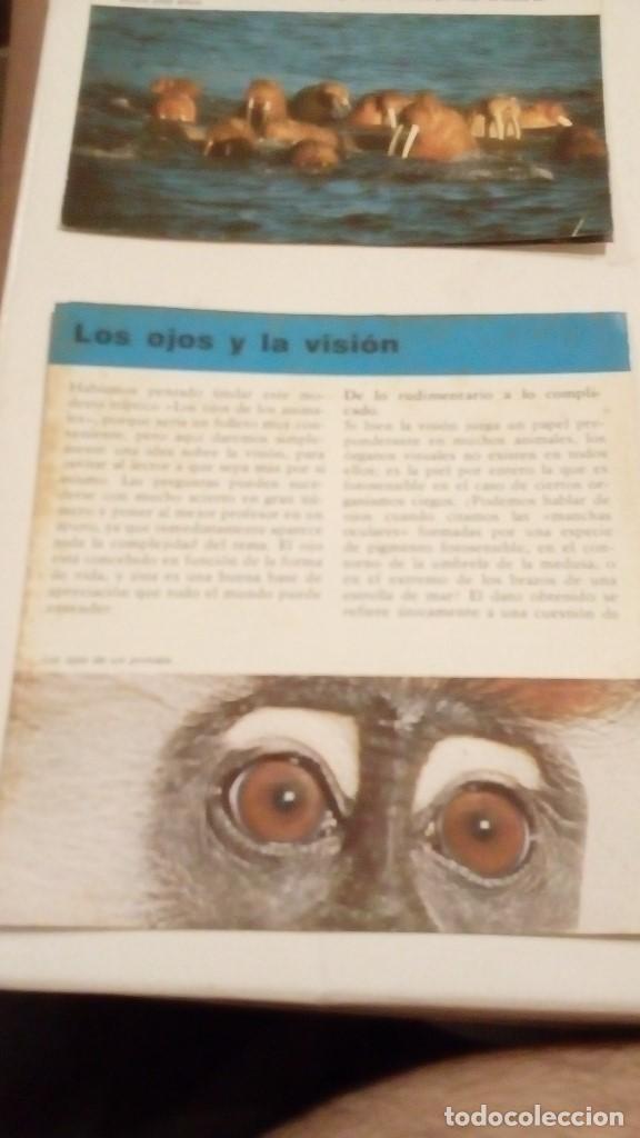 Colecionismo Cromos antigos: ALBERT VISAGE IMPRESO EN ESPA&Ntilde;A LOS OJOS Y LA VISION