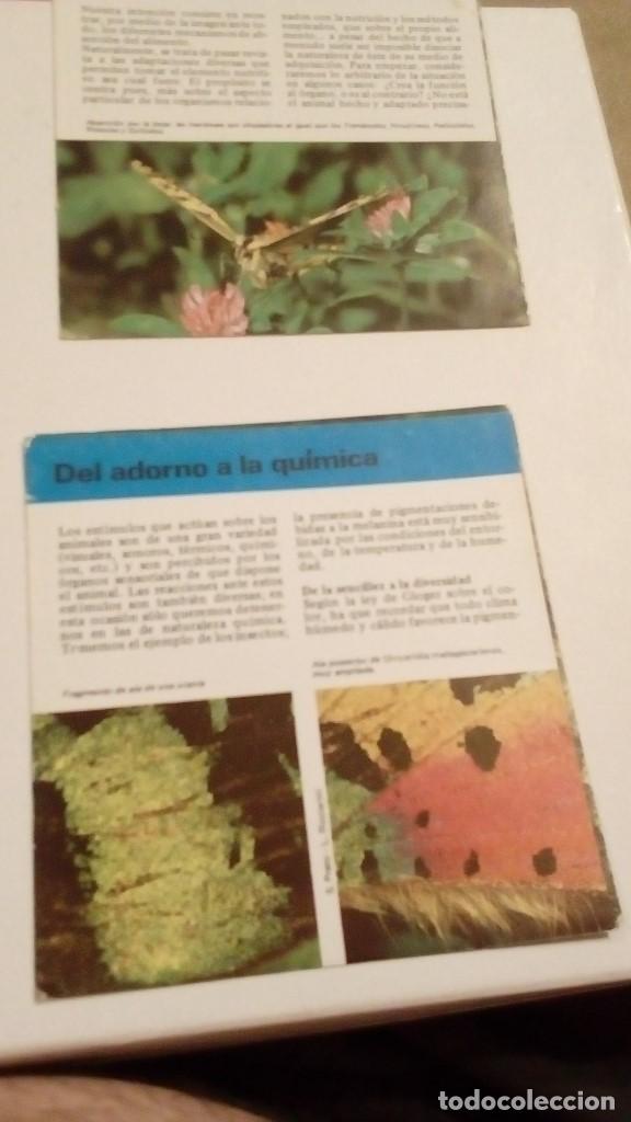 Colecionismo Cromos antigos: ALBERT VISAGE IMPRESO EN ESPA&Ntilde;A DEL ADORNO A LA QUIMICA