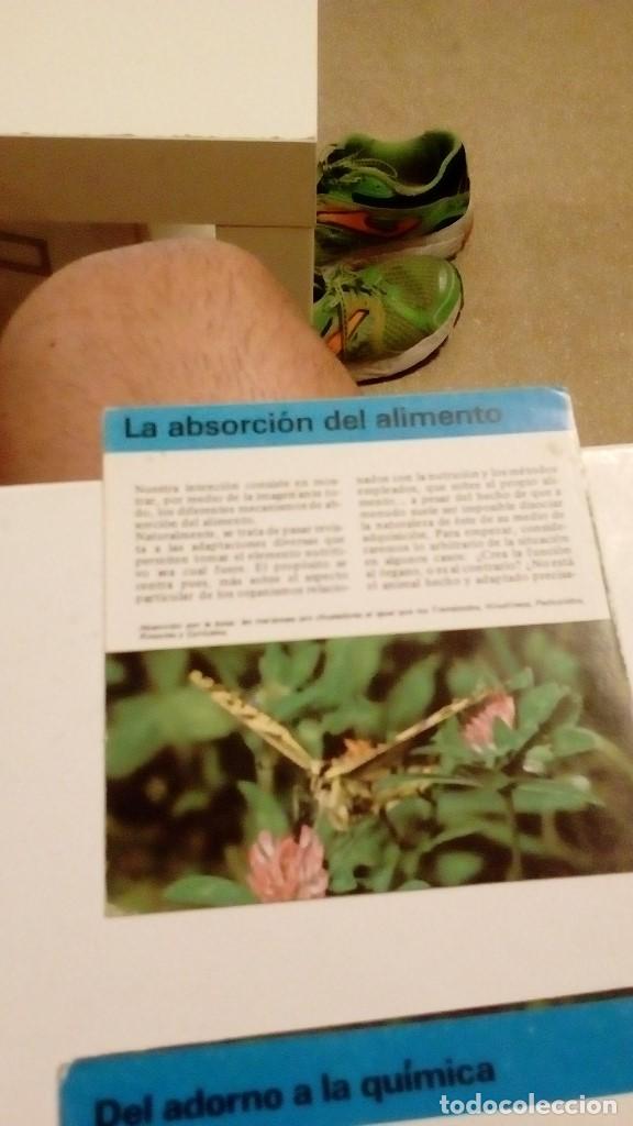 Colecionismo Cromos antigos: ALBERT VISAGE IMPRESO EN ESPA&Ntilde;A LA ABSORCION DEL ALIMENTO