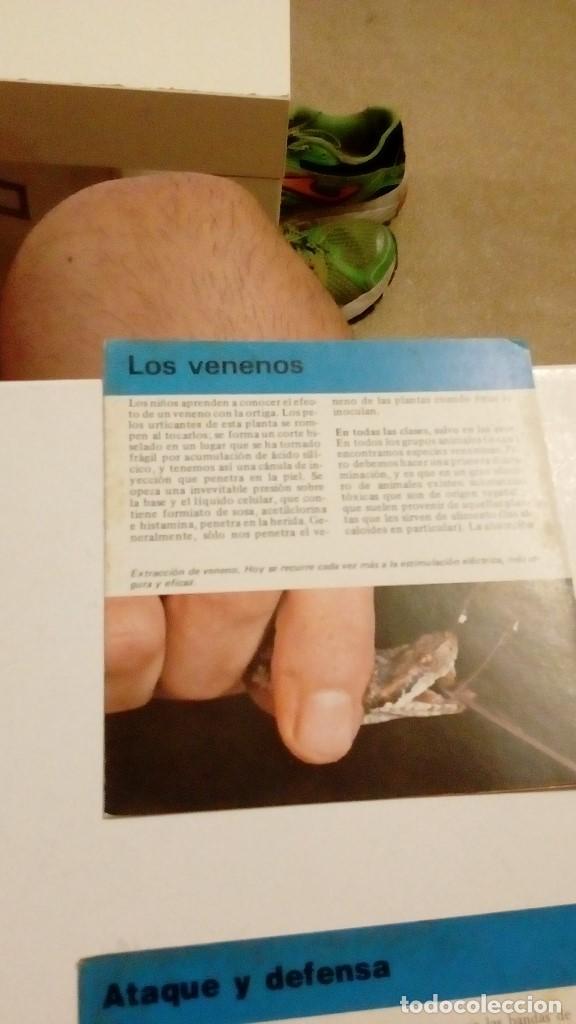 Colecionismo Cromos antigos: ALBERT VISAGE IMPRESO EN ESPA&Ntilde;A LOS VENENOS