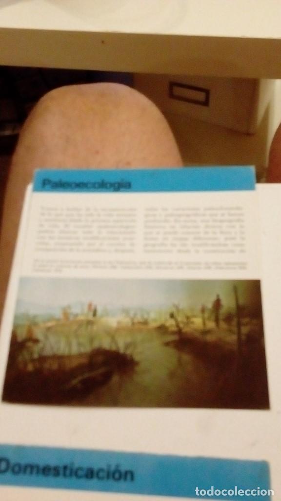 Colecionismo Cromos antigos: ALBERT VISAGE IMPRESO EN ESPA&Ntilde;A PALEOECOLOGIA