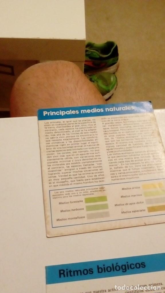 Colecionismo Cromos antigos: ALBERT VISAGE IMPRESO EN ESPA&Ntilde;A PRINCIPALES MEDIOS NATURALES