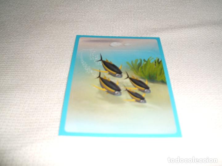 Coleccionismo cromos antiguos: Cromo n&ordm; 6 Buscando a Dory Panini, a&ntilde;o 2016 - Foto 1