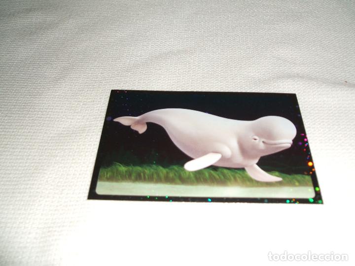 Coleccionismo cromos antiguos: Cromo n&ordm; 75 Buscando a Dory Panini, a&ntilde;o 2016 - Foto 1