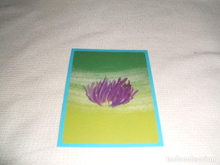 Coleccionismo cromos antiguos: Cromo n&ordm; 117 Buscando a Dory Panini, a&ntilde;o 2016 - Foto 1