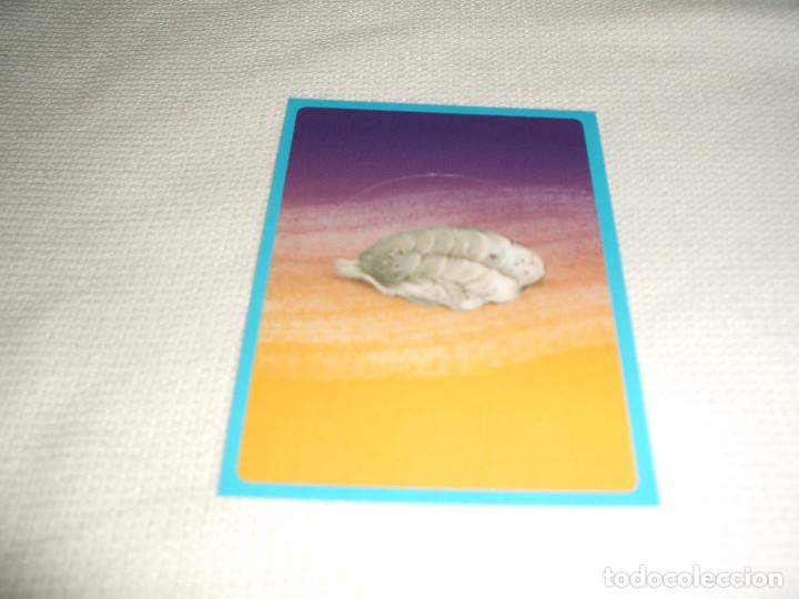 Coleccionismo cromos antiguos: Cromo n&ordm; 120 Buscando a Dory Panini, a&ntilde;o 2016 - Foto 1
