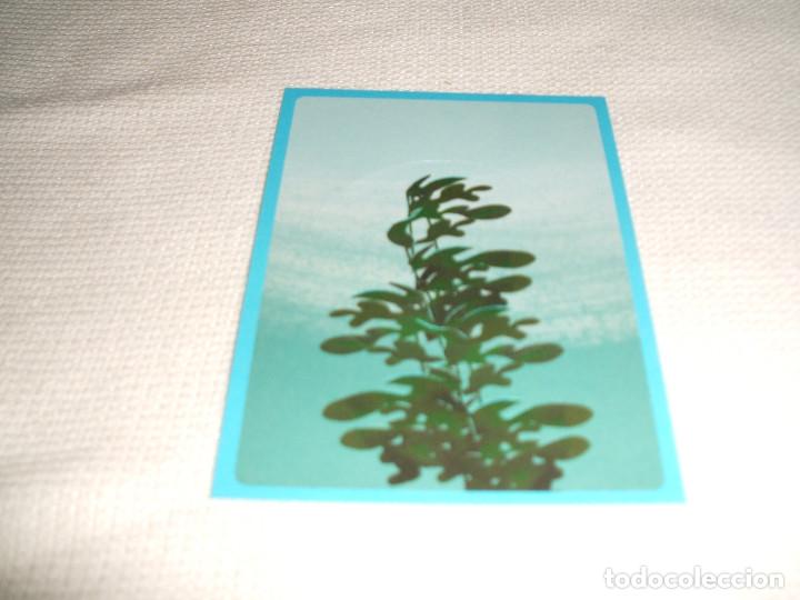 Coleccionismo cromos antiguos: Cromo n&ordm; 129 Buscando a Dory Panini, a&ntilde;o 2016 - Foto 1