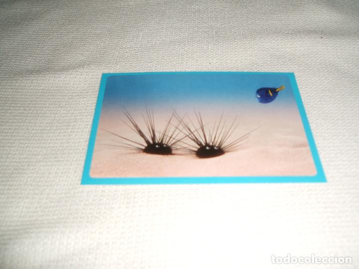Coleccionismo cromos antiguos: Cromo n&ordm; 144 Buscando a Dory Panini, a&ntilde;o 2016 - Foto 1