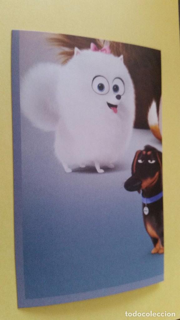 Coleccionismo cromos antiguos: CROMO MASCOTAS (PANINI 2016) - N&ordm; 4 - Foto 1