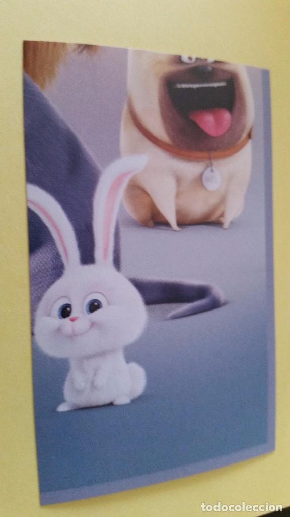 Coleccionismo cromos antiguos: CROMO MASCOTAS (PANINI 2016) - N&ordm; 6 - Foto 1