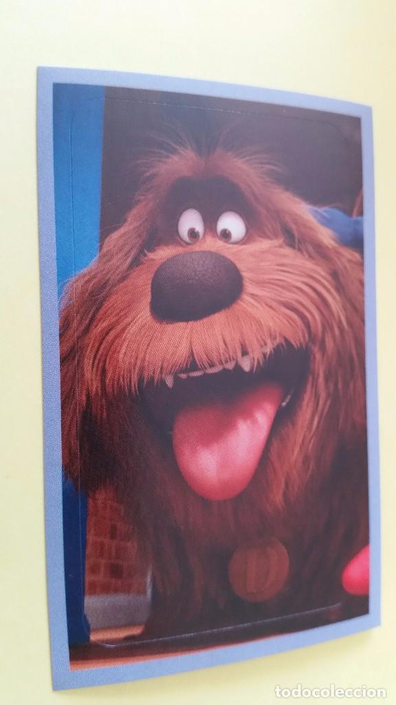 Coleccionismo cromos antiguos: CROMO MASCOTAS (PANINI 2016) - N&ordm; 81 - Foto 1
