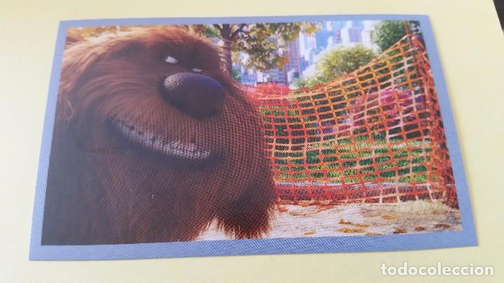 Coleccionismo cromos antiguos: CROMO MASCOTAS (PANINI 2016) - N&ordm; 99 - Foto 1