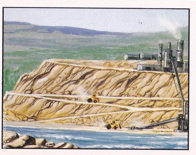 Colecionismo Cromos antigos: CROMO NATURALEZA EN PELIGRO. PANINI. N&ordm; 134. DESTRUCCI&Oacute;N DE LAS ORILLAS