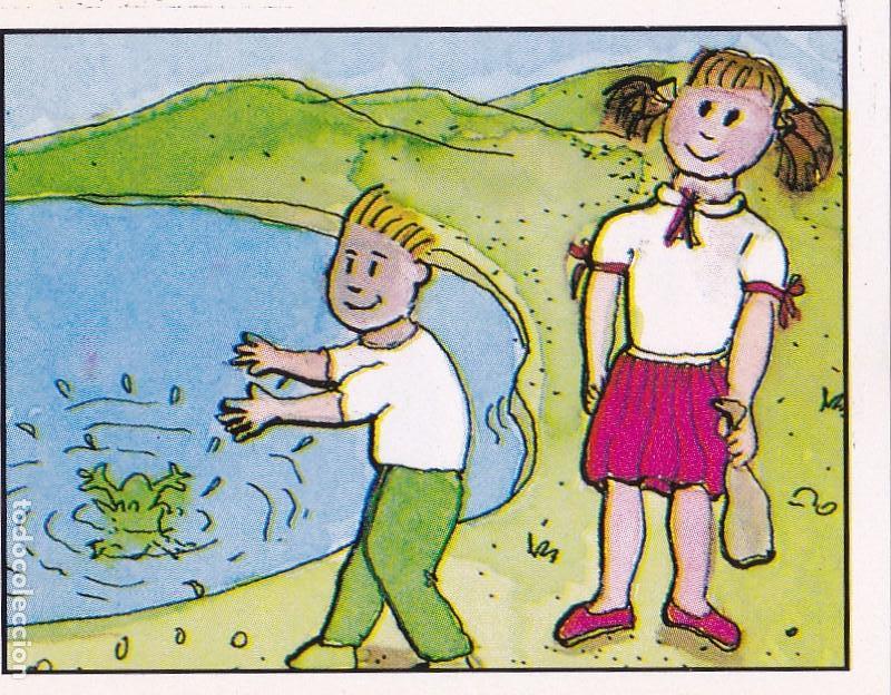 Colecionismo Cromos antigos: CROMO NATURALEZA EN PELIGRO. PANINI. N&ordm; 144. VIDA DE LOS RENACUAJOS